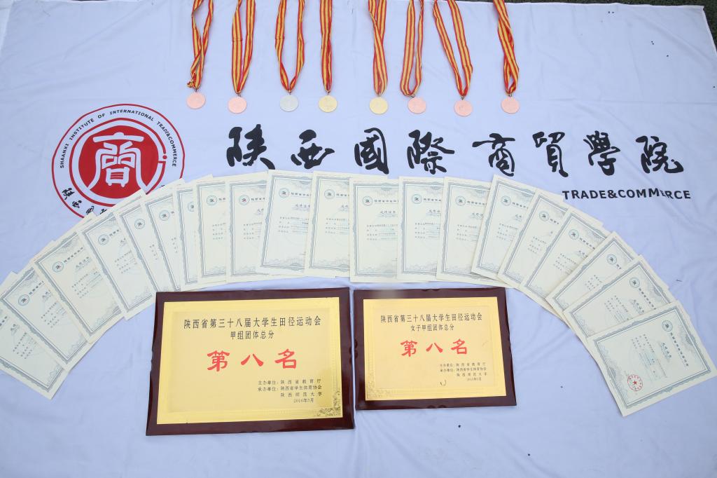 获得的奖牌奖状